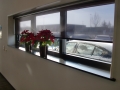 CIMG0685